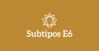 Subtipos Eneatipo 6